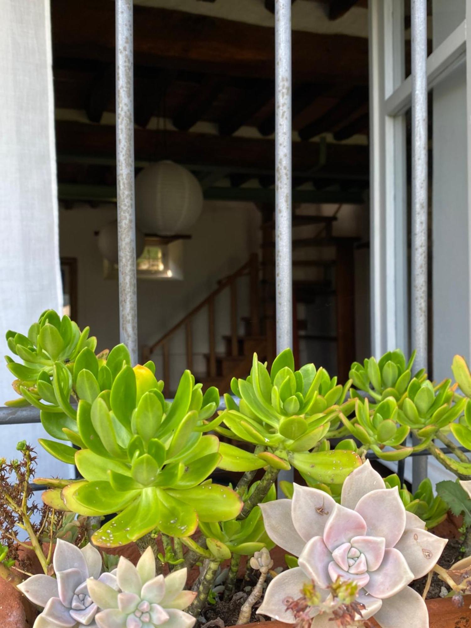 La Casa In Valli 35 Villa บาญญี ดี ลุกกา ภายนอก รูปภาพ